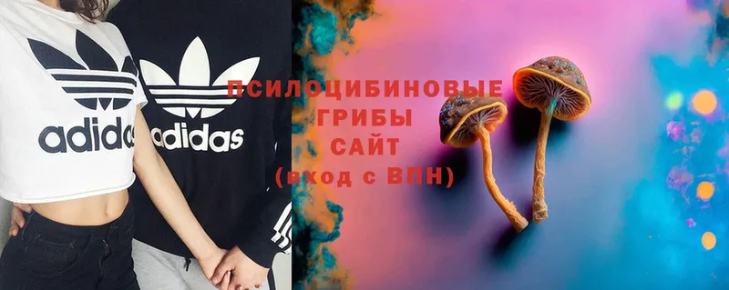 Галлюциногенные грибы Magic Shrooms  Грязи 